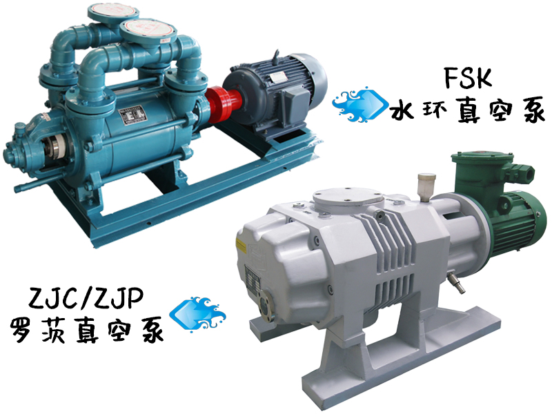 造紙羅茨真空泵和水環(huán)式真空泵的特點(diǎn)